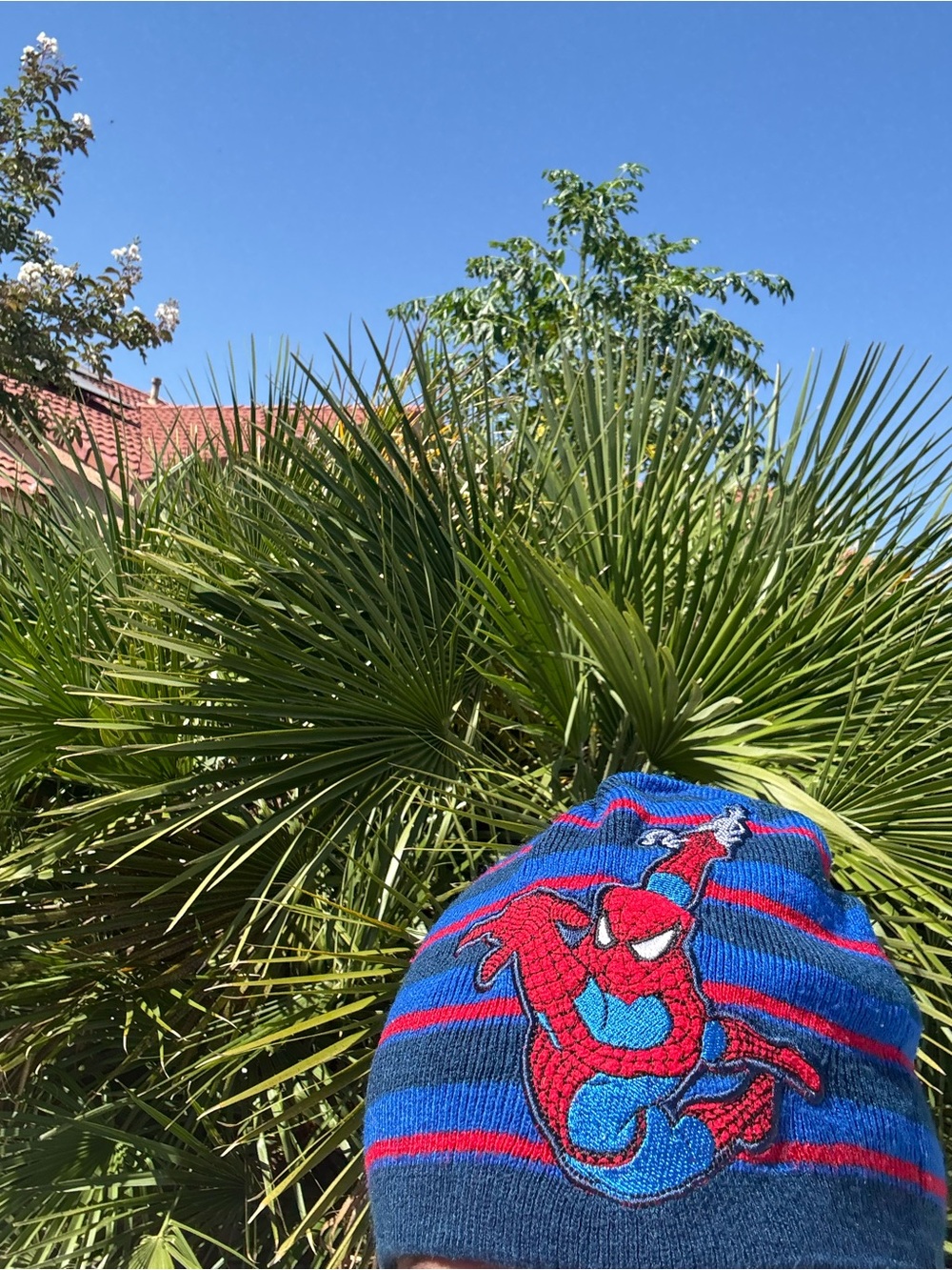 Marvel Blue and Red Spider-Man Knit Beanie